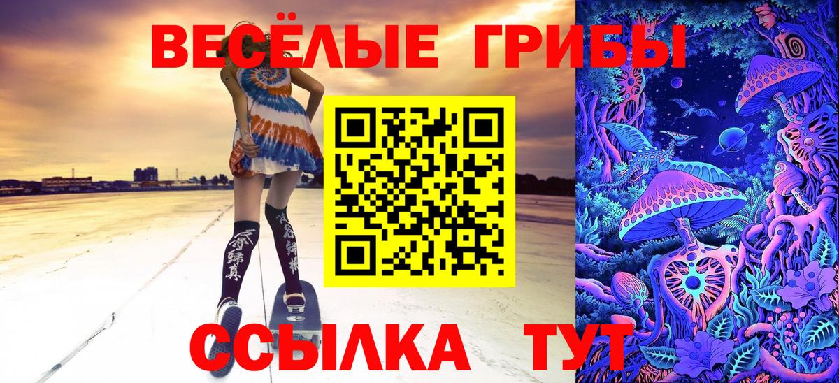 Галлюциногенные грибы прущие грибы Куйбышев