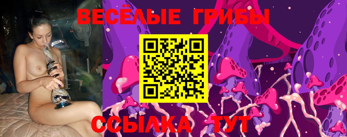 Галлюциногенные грибы мицелий  Вход с VPN  Галлюциногенные грибы мицелий  Куйбышев 